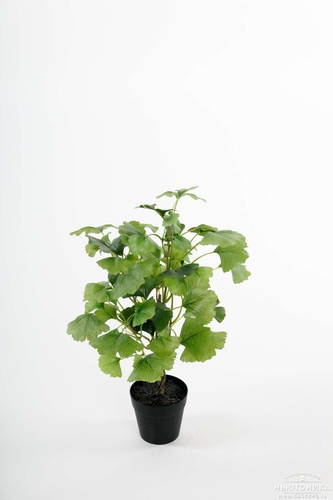 Искусственное растение "Гинкго", 45 см