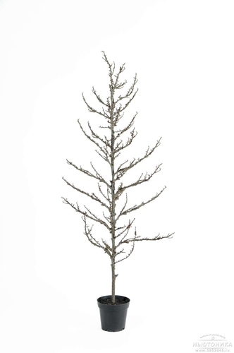Искусственное дерево, 185 см