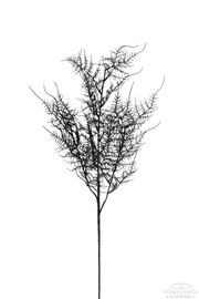 Искусственное растение "Аспарагус", 1062-75