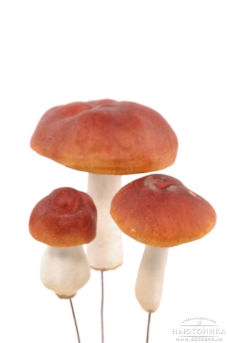 Элемент декора грибы набор 6 шт