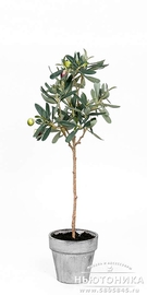 Искусственное "Оливковое дерево", 55 см, 1469-90-1