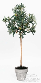 Искусственное "Оливковое дерево", 85 см, 1470-90-1