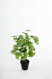 Искусственное растение "Гинкго", 45 см, 1801-90-1