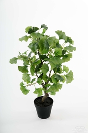 Искусственное растение "Гинкго", 65 см, 1802-90-1
