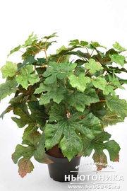 Искусственное растение "Виноград", 35 см, 2614-90-1