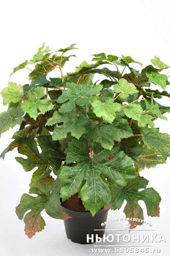 Искусственное растение "Виноград", 35 см