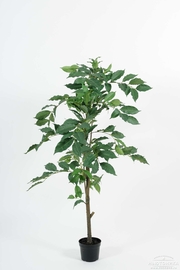 Искусственное "Кофейное дерево", 135 см, 7111-135