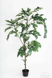 Искусственное "Кофейное дерево", 210 см, 7111-210