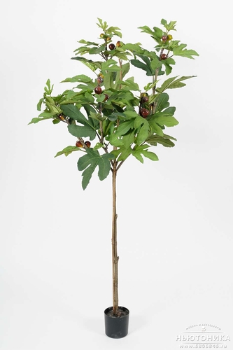 Искусственное "Фиговое дерево", 150 см