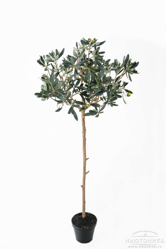 Искусственное "Оливковое дерево", 125 см
