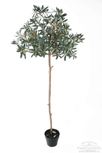 Искусственное "Оливковое дерево", 155 см