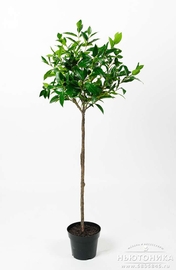 Искусственное "Лавровое дерево", 120 см, 7413-120