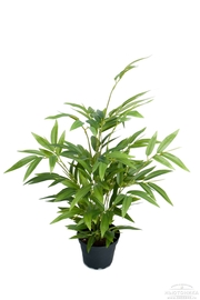 Искусственное растение "Бамбук", 45 см, 9090-90-1