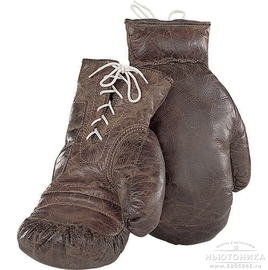 Боксерские  перчатки Trinity, 04-17012
